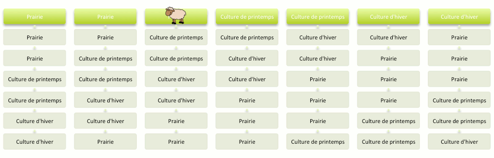 Animation mouton rotation